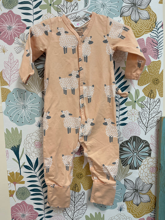 set, 6m