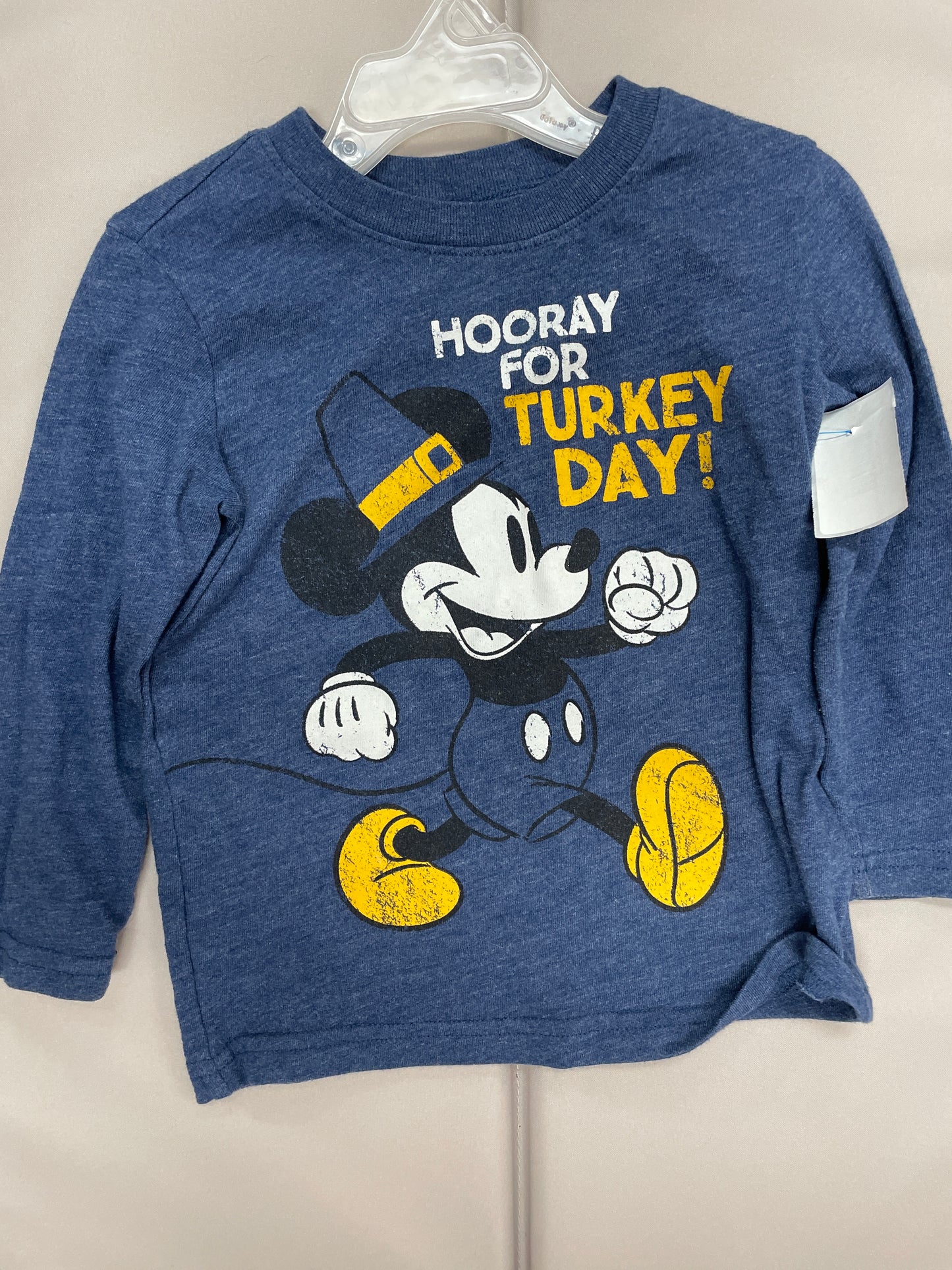 Thanksgiving 3t blue