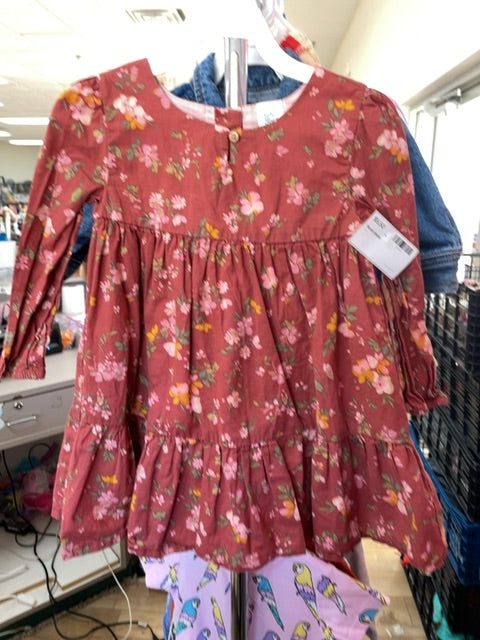 floral dress (size: 24m)