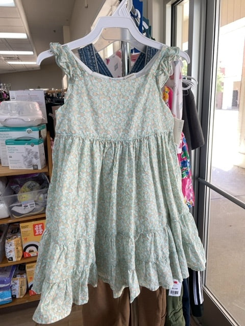 dress (size: 3t)